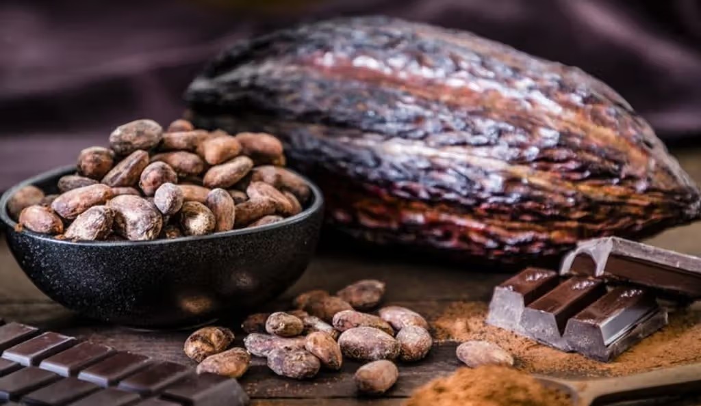 Dark Chocolate Is More Than Just an Antioxidant: Cocoa Flavanols Modestly Improve Blood Pressure and Endothelial Function in Clinical Trials